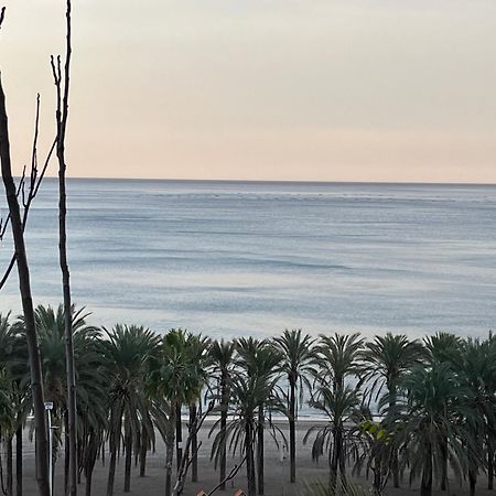 Sol Y Paz Daire Torremolinos Dış mekan fotoğraf
