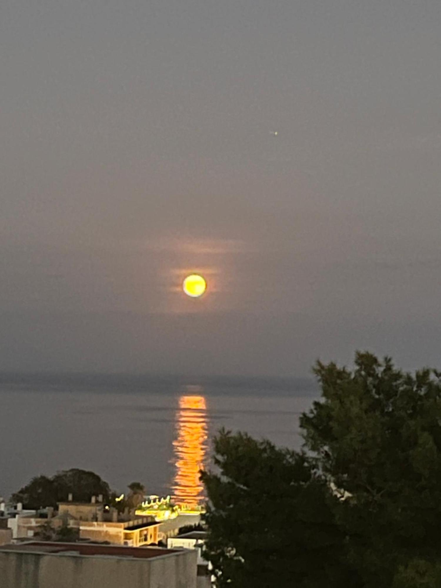 Sol Y Paz Daire Torremolinos Dış mekan fotoğraf
