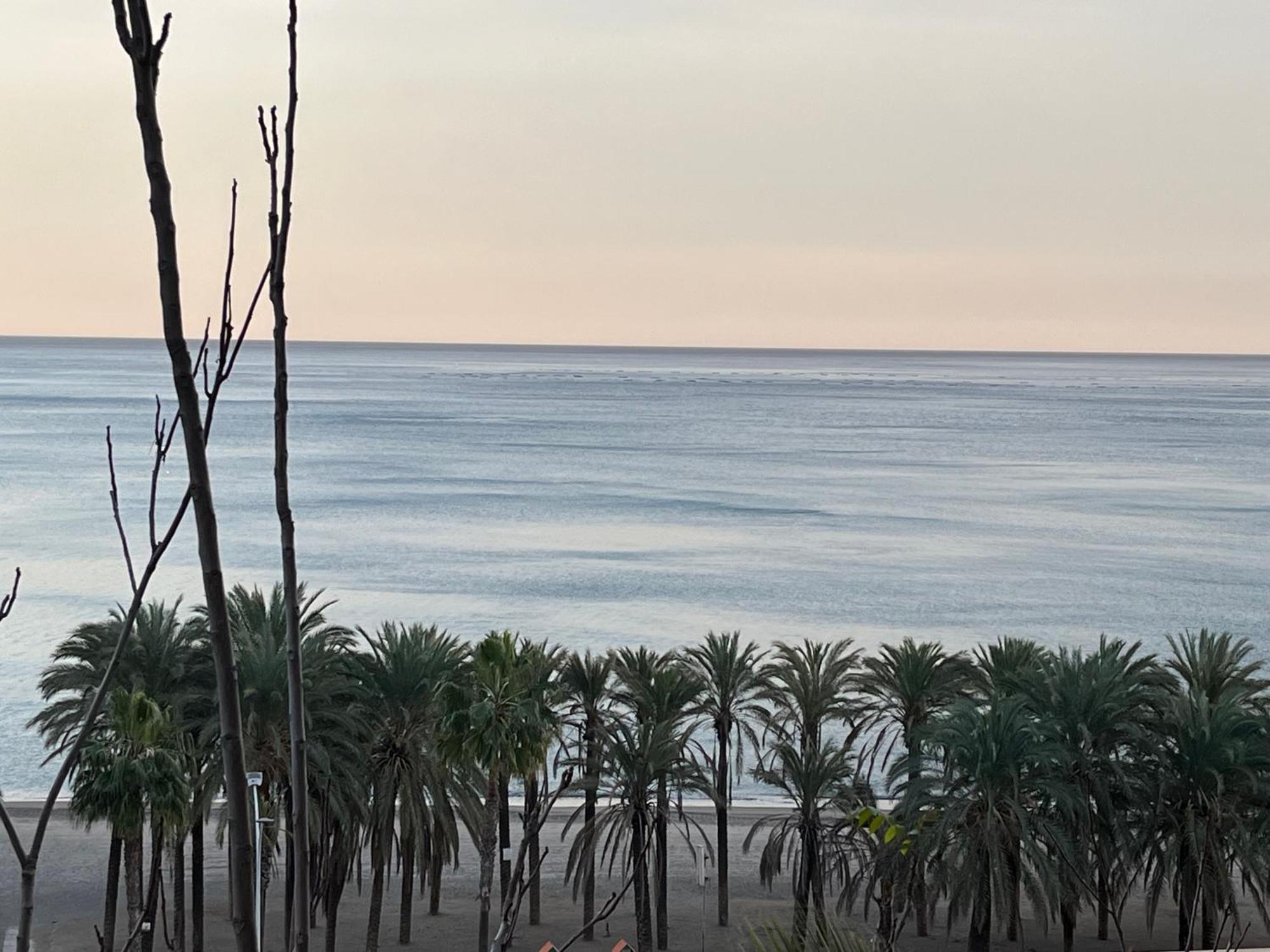Sol Y Paz Daire Torremolinos Dış mekan fotoğraf